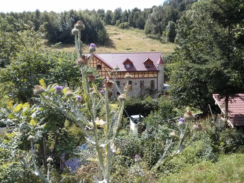 Zbojna Debra Bed & Breakfast Golejow Luaran gambar